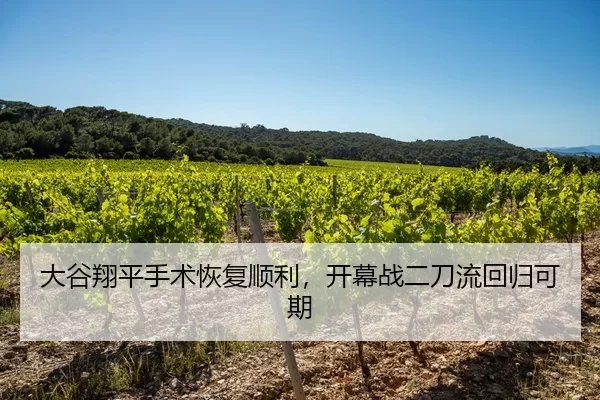 大谷翔平手术恢复顺利，开幕战二刀流回归可期